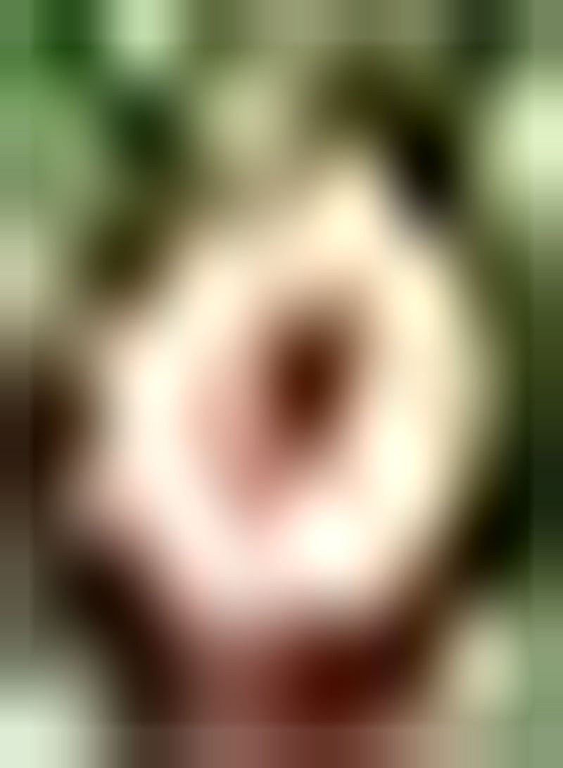 GGOOT 2pcs Gemengde Kleur Dahlia Bollen Mooie Vaste Plant Gemakkelijk Beheer Aanpasbaar Huis Tuin Decoratie Tuinieren Mooie Vaste Plant DIY Beginners - Image 1