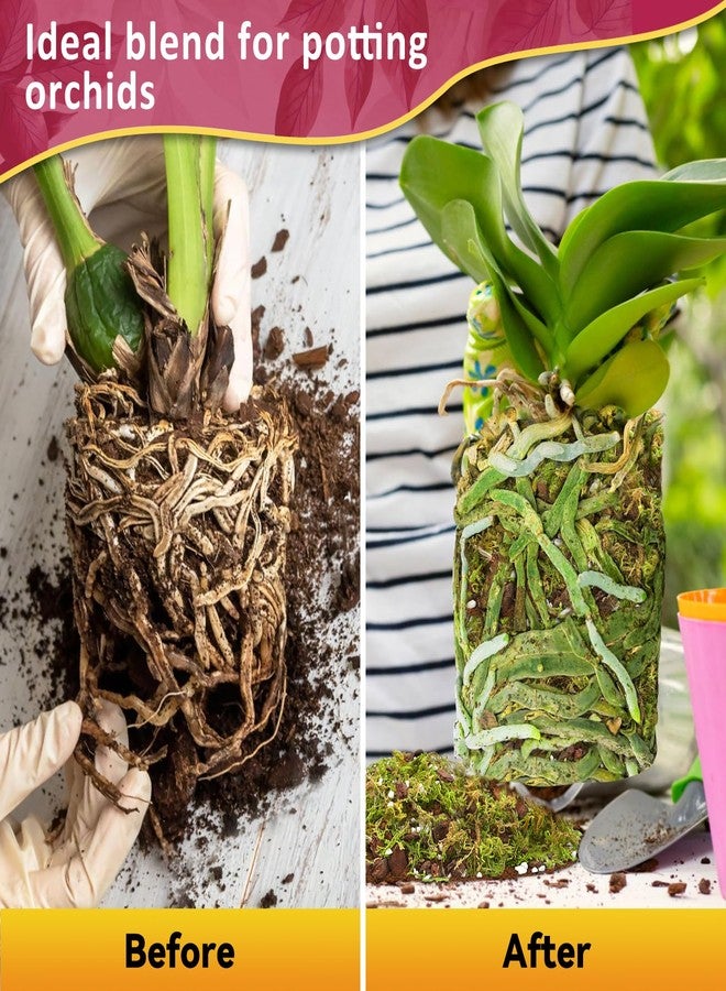 Riare 1QT Orchid Potting Mix for Repotting- Orchid Repotting Kit Include Moss, Pine Bark, Perlite, Coco Peat- Premium Orchid Soil Medium for Indoor Potted Plants Root Ventilation & Expanding - Image 5