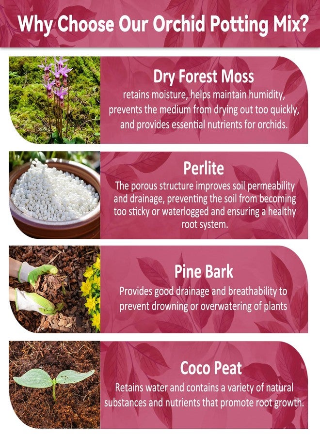 Riare 1QT Orchid Potting Mix for Repotting- Orchid Repotting Kit Include Moss, Pine Bark, Perlite, Coco Peat- Premium Orchid Soil Medium for Indoor Potted Plants Root Ventilation & Expanding - Image 3