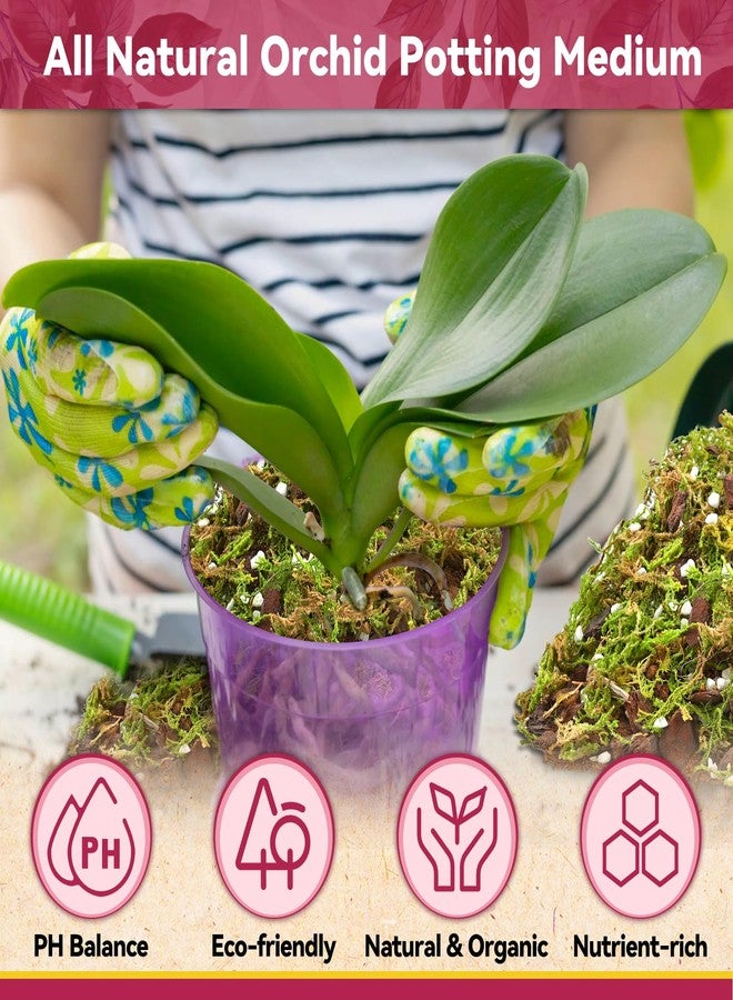 Riare 1QT Orchid Potting Mix for Repotting- Orchid Repotting Kit Include Moss, Pine Bark, Perlite, Coco Peat- Premium Orchid Soil Medium for Indoor Potted Plants Root Ventilation & Expanding - Image 4