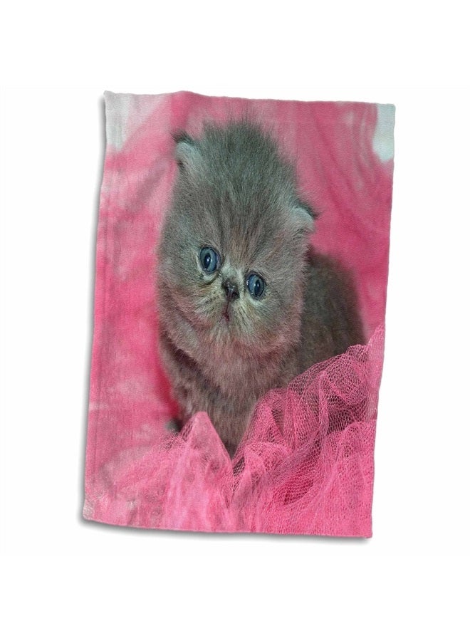 3DROSE 3D Rose Image of Adorable Persian Kitten On Pink Tulle Hand Towel, 15" x 22", Multicolor - Image 1