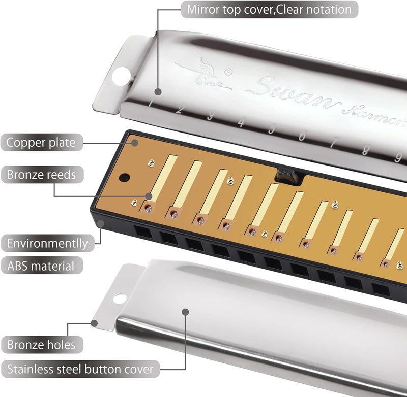 SWAN Blues Harmonica C Key for Kids Adults, 10 Hole Diatonic Harmonica Key of C, Metal Blues Harp for Beginners Students, Mouth Organ in Case, Silver - Image 5