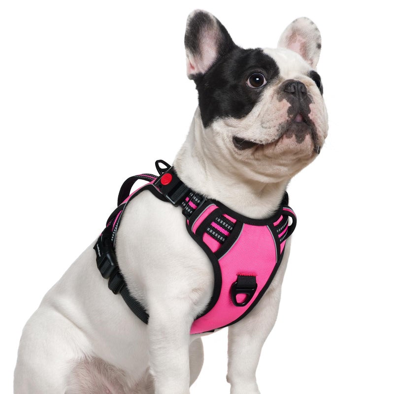 rabbitgoo Dog Harness Small Sized Dog, No Pull Pet Harness with Soft Padded Handle, Adjustable Reflective Vest with 3 Buckles, Easy Walking Harness with 2 Leash Clips, Pink, S - Image 1