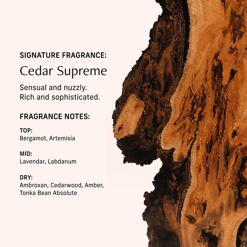 CYKLAR Perfume Oil for Skin â€“ Cedar Supreme Scent â€“ Crisp, Aromatic & Warm Perfume Fragrance with Bergamot, Lavender & Cedarwood Notes â€“ 30ml - Image 4