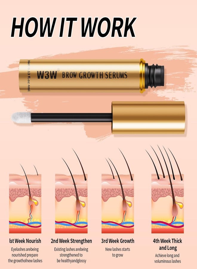 W3W Natural Eyebrow Growth Serum To Grow Brows for Women, Fuller, Thicker, Longer Brows, 4ML Plant Extracts Enhancer, Visible Growth in 4 Weeks, Vegan & Cruelty-Free - Image 2