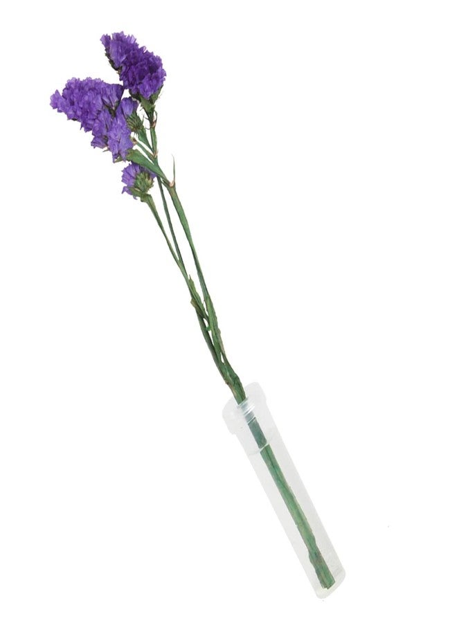 JFFX 20 Pcs Floral Water Tubes 2.8 Inch Clear Plastic Flower Vials with Caps for Flower Arrangement Decoration - Image 4