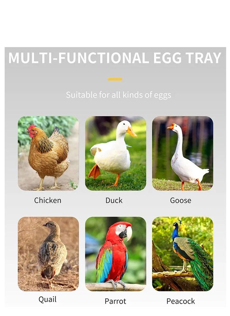 20 Eggs Fully Automatic Poultry Hatcher Machine with Humidity Display 20 Egg Incubator Egg Turner