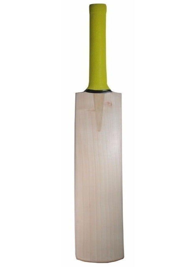 تي آر مضرب كريكيت من خشب الصفصاف الكشميري من شركة TR Sports، حجم كامل، مقبض ناعم، مناسب لكرات التنس الصلبة (عبوة من قطعة واحدة) - Image 3