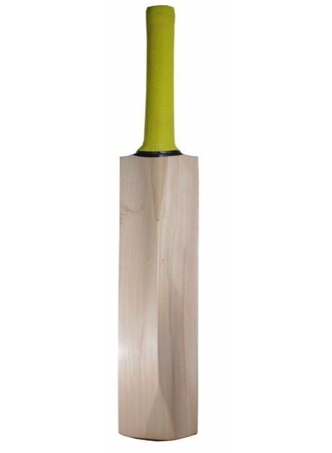 تي آر مضرب كريكيت من خشب الصفصاف الكشميري من شركة TR Sports، حجم كامل، مقبض ناعم، مناسب لكرات التنس الصلبة (عبوة من قطعة واحدة) - Image 5