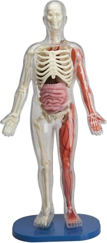 SMARTLAB Toys Squishy Human Body with 21 Removable Body Parts with Anatomy Book - Image 1