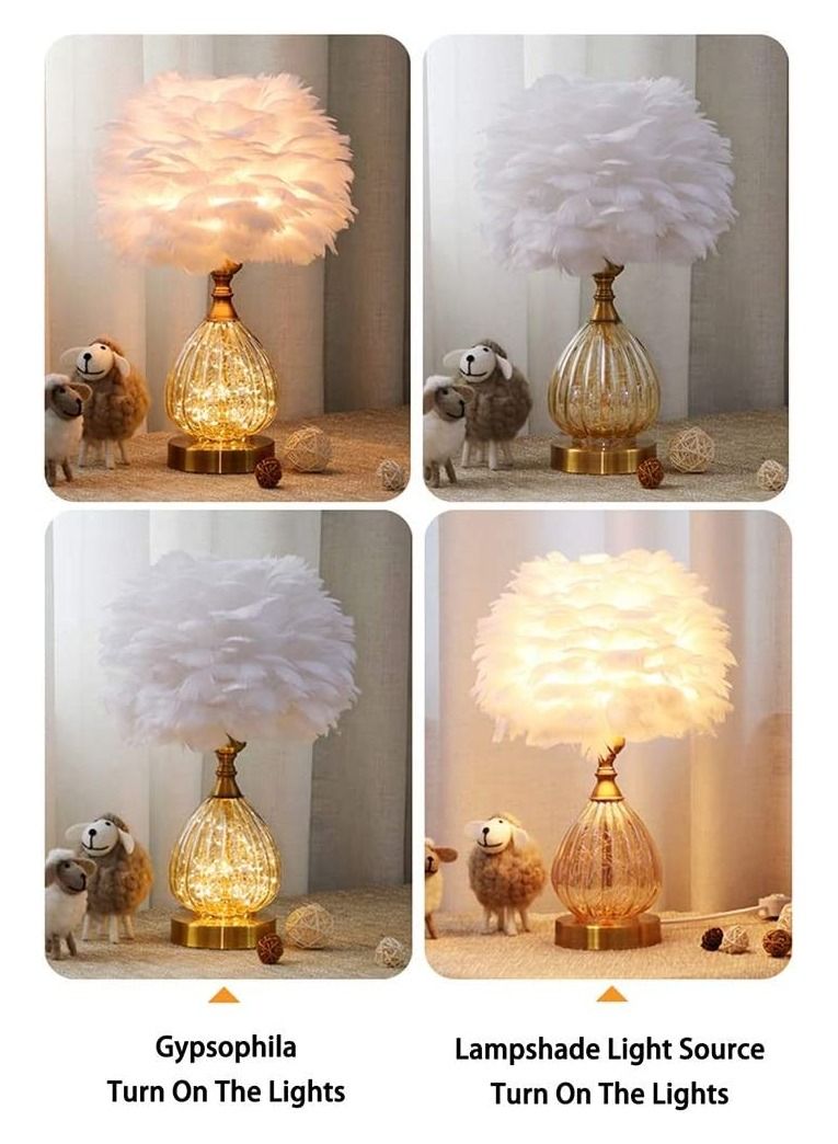 FFD Feather Lamp Table Light