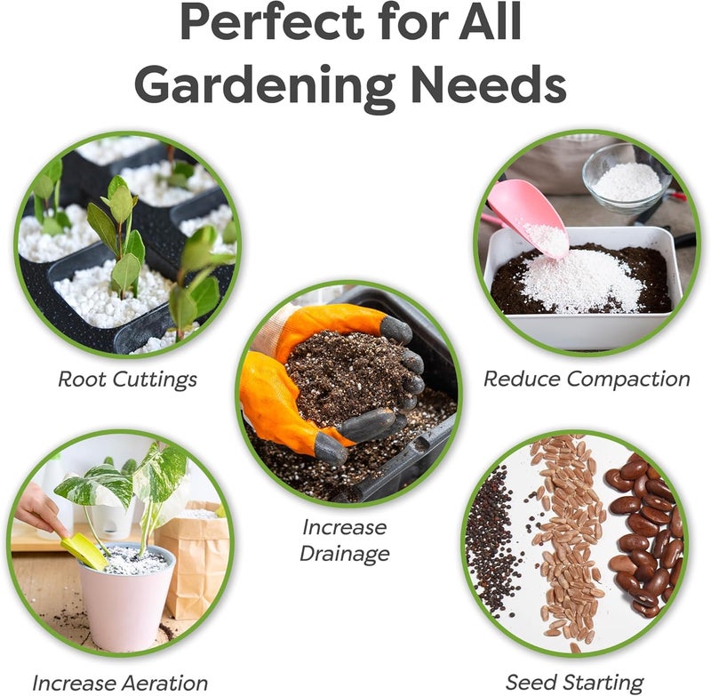 PERFECT PLANTS Organic Perlite by — 4qts. Natural Soil Additive for Indoor & Outdoor Container Plants — Enhanced Drainage for Optimal Growth - Image 2