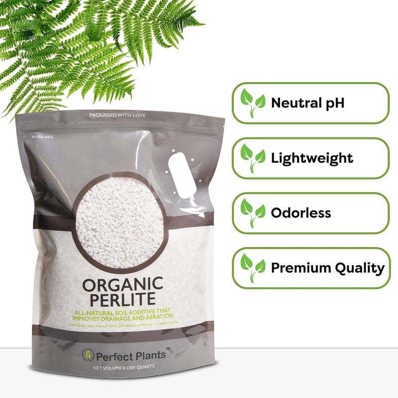 PERFECT PLANTS Organic Perlite by — 4qts. Natural Soil Additive for Indoor & Outdoor Container Plants — Enhanced Drainage for Optimal Growth - Image 4