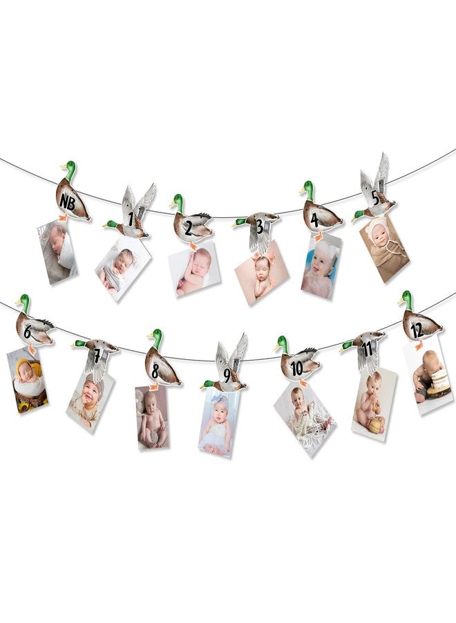 Fangleland Mallard Duck 1st Birthday Photo Banner, Duck Theme Picture Banner from Newborn to 12 Months Growth Record First Bday Party Decorations for 1 Year Old Boy - Image 1