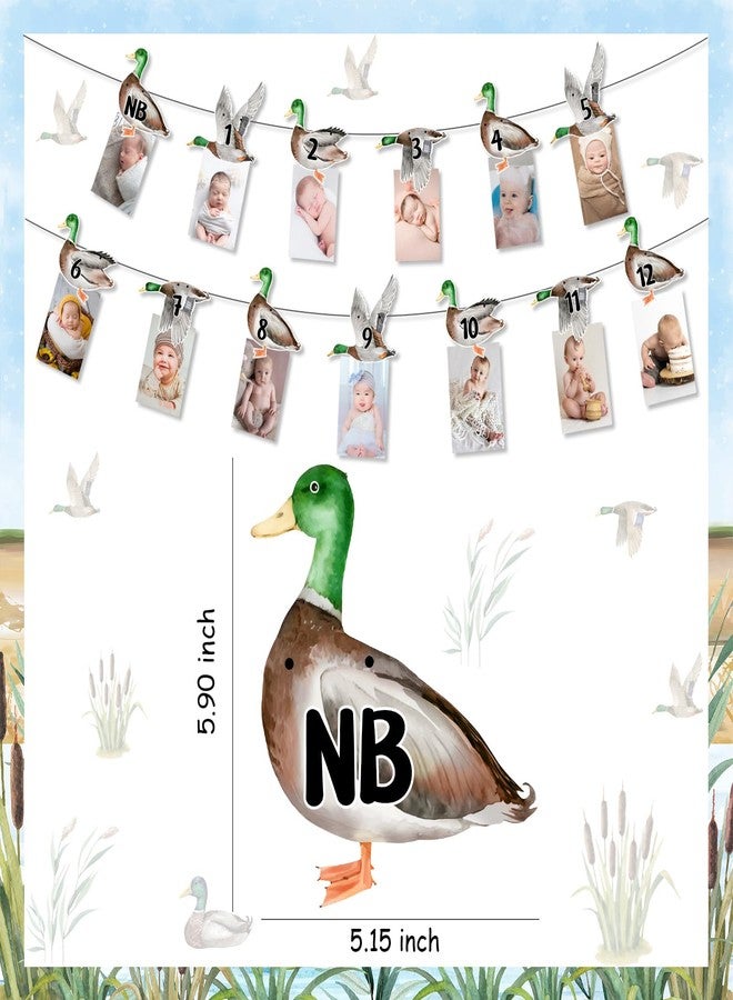 Fangleland Mallard Duck 1st Birthday Photo Banner, Duck Theme Picture Banner from Newborn to 12 Months Growth Record First Bday Party Decorations for 1 Year Old Boy - Image 5