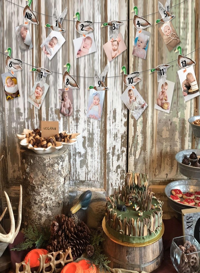 Fangleland Mallard Duck 1st Birthday Photo Banner, Duck Theme Picture Banner from Newborn to 12 Months Growth Record First Bday Party Decorations for 1 Year Old Boy - Image 4