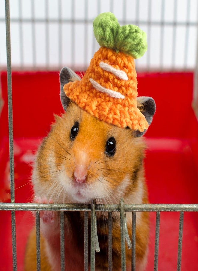 Kajaia 10 Pcs Hamster Hat Small Animals Cute Tiny Hat Mini Hand Knitted Hats for Snakes Pets Bearded Dragon Guinea Pig Bunny Costume Accessories Easter Holiday Parties(Fresh Style) - Image 5