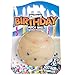 Chuckit Birthday Fetch Ball Medium 25 Inch Diameter for Dogs 2060 lbs Pack of 1 - Image 3