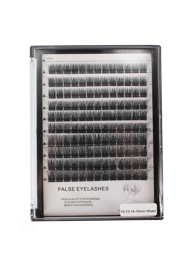Dedila Wide Stem Dramatic Black Individual False Eyelashes Cluster Mixed 10 12 14 16Mm Thickness 0.07Mm D Curl High Volume Eye Lashes Extensions Natural Soft Long (Mixed 10 12 14 16Mm) - Image 2