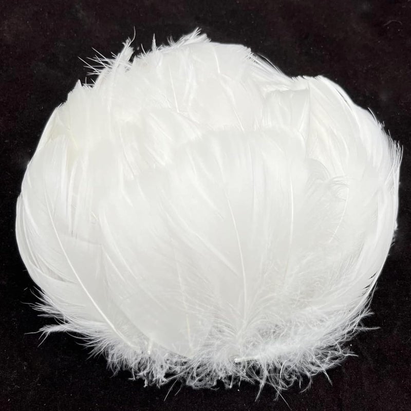 Tdas Tdas 270 Pcs Natural Dyed Feathers for Craft 35 inches Arts Fluffy Dream Catcher Making kit for Decoration Projects Earrings Colourful for Kids Handmade Wedding Home White  - Image 1