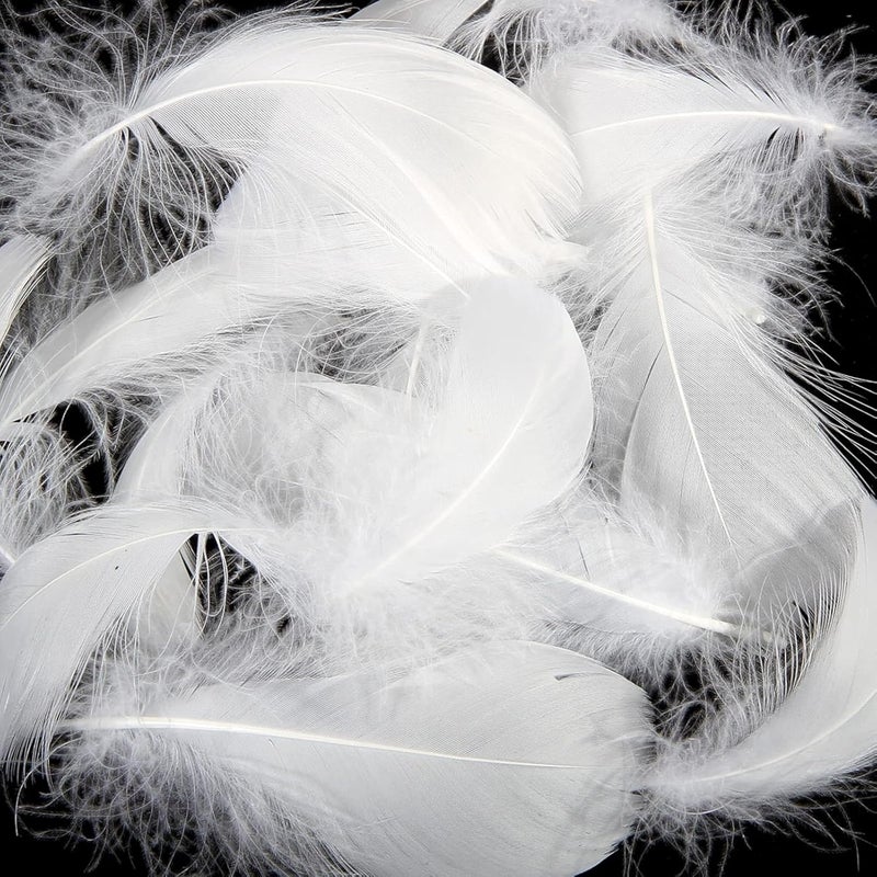 Tdas Tdas 270 Pcs Natural Dyed Feathers for Craft 35 inches Arts Fluffy Dream Catcher Making kit for Decoration Projects Earrings Colourful for Kids Handmade Wedding Home White  - Image 2