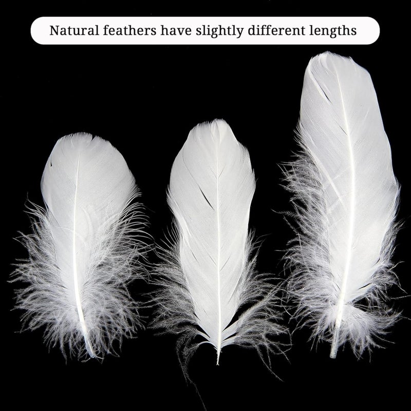 Tdas Tdas 270 Pcs Natural Dyed Feathers for Craft 35 inches Arts Fluffy Dream Catcher Making kit for Decoration Projects Earrings Colourful for Kids Handmade Wedding Home White  - Image 4