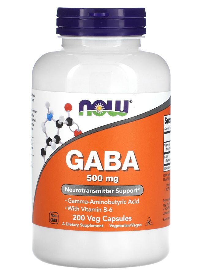 now GABA with Vitamin B-6 500 mg 200 Veg Capsules