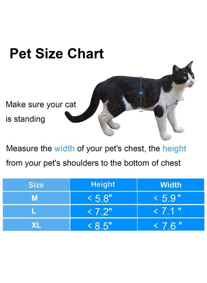 CEESC Cat Flap Waterproof Cat Flap with 4 Way Rotating Lock for Cats, Small Dogs, Easy to Install and Use, Improved Version - Image 4