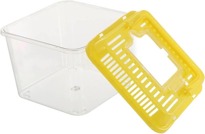 Tehaux حوض سلاحف محمول شفاف مع غطاء قابل للفصل سهل التنظيف موطن زواحف جيد التهوية - Image 3