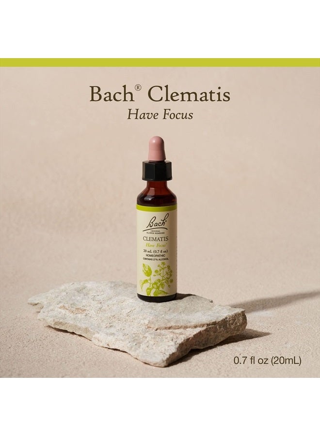Bach علاجات الزهور الأصلية، كليمتيس للتركيز والانتباه، جوهر زهري طبيعي هوموباثي، رفاهية شاملة وتخفيف التوتر، نباتي، 20 مل قطارة - Image 2
