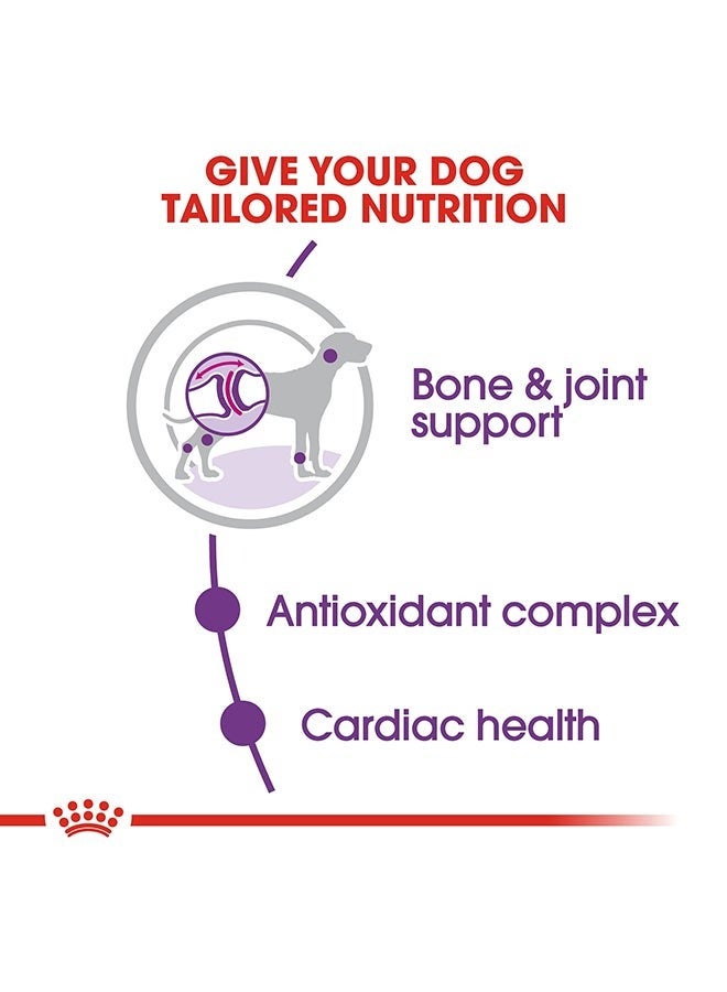 رويال كانين سايز هيلث نيوترشن جاينت للبالغين 15 كجم - Image 3