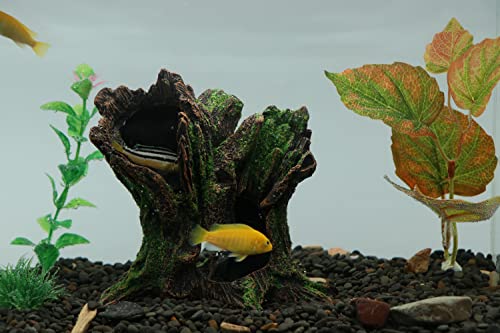 AQUA KT Aquarium Landscape Tree Stump Trunk Hollow Betta Cichlid Cave Rocks for Fish Hiding Tank Decoration Decorations - Image 5