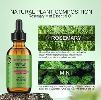 wachinas زيت إكليل الجبل لنمو الشعر مع جهاز تدليك لفروة الرأس زيت إكليل الجبل لتغذية فروة الرأس 100% طبيعي للنساء والرجال - Image 3