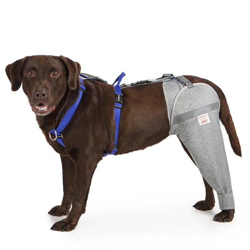 LufeLux Dog Leg Sleeve for Stop Licking & Post-Surgery Recovery | Protects Injured Rear Legs from Excessive Licking & Scratching | Cone Alternative with Breathable Fabric | Easy to Use (Grey, X-Large) - Image 1