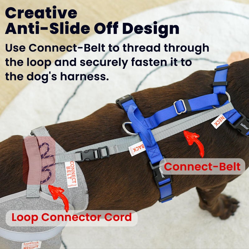 LufeLux Dog Leg Sleeve for Stop Licking & Post-Surgery Recovery | Protects Injured Rear Legs from Excessive Licking & Scratching | Cone Alternative with Breathable Fabric | Easy to Use (Grey, X-Large) - Image 5