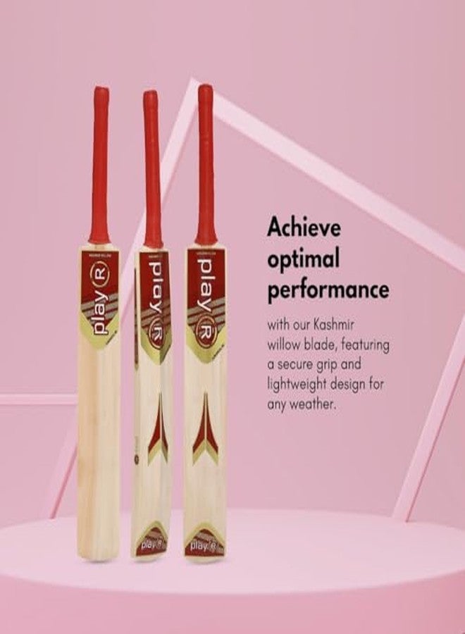 playR Armour Kashmir Willow Cricket Bat - Lightweight & Durable Bat for Power Shots, Training, Practice, Casual Play & Club Matches for All-Season Performance - Image 5
