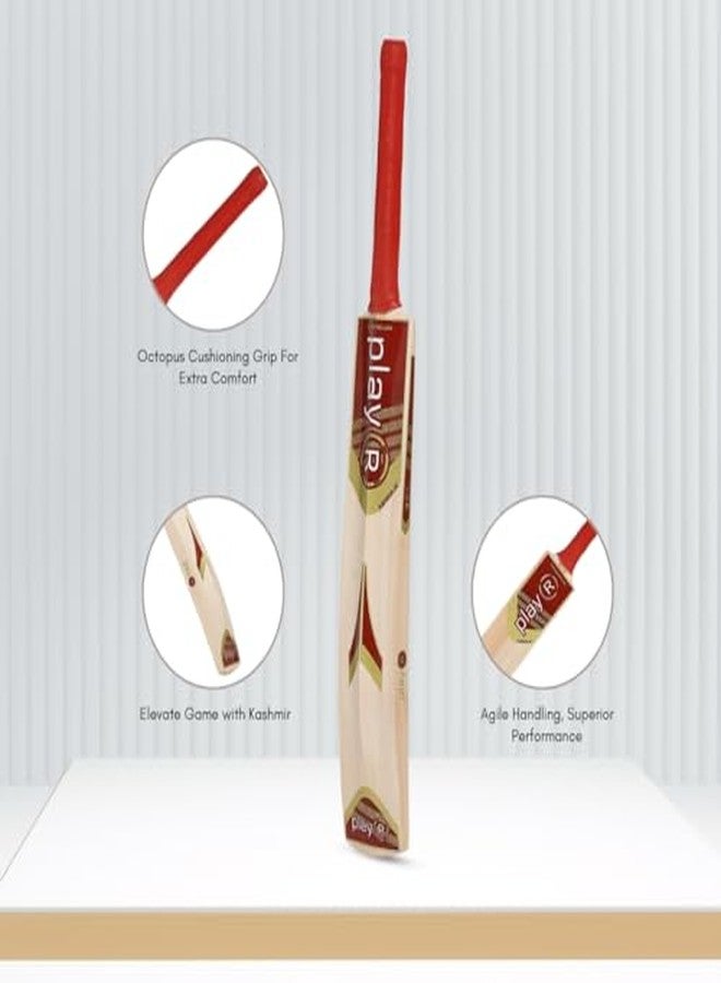 playR Armour Kashmir Willow Cricket Bat - Lightweight & Durable Bat for Power Shots, Training, Practice, Casual Play & Club Matches for All-Season Performance - Image 4
