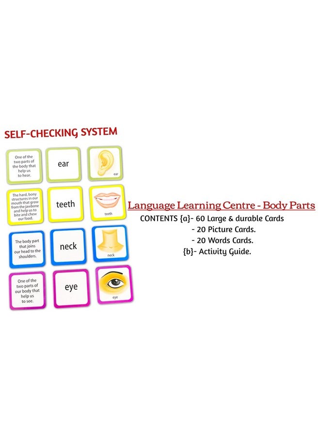 Creative's Creative's Language Learning Centre-Body Parts | Learning Game | Knowledge About Human Body Parts | Home & School Learning Pack | 7 Ways to Play & Learn | Ages 6 & up Children  - Image 4