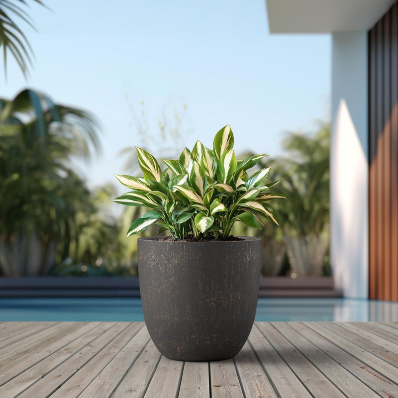 Kante 18 Inch Dia Round Concrete Planter, Indoor Outdoor Large Plant Pot with Drainage Hole and Rubber Plug for Home Patio Garden, Oil Rubbed Bronze - Image 3