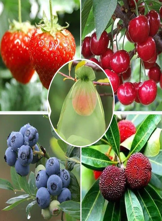 LUOTIVON 30 Pcs 4''×6'' Drawstring Fruit Netting Bags, Reusable Garden Netting Bags, Fruit Cover Mesh Bag for Fruit Trees Vegetable Floral - Image 4