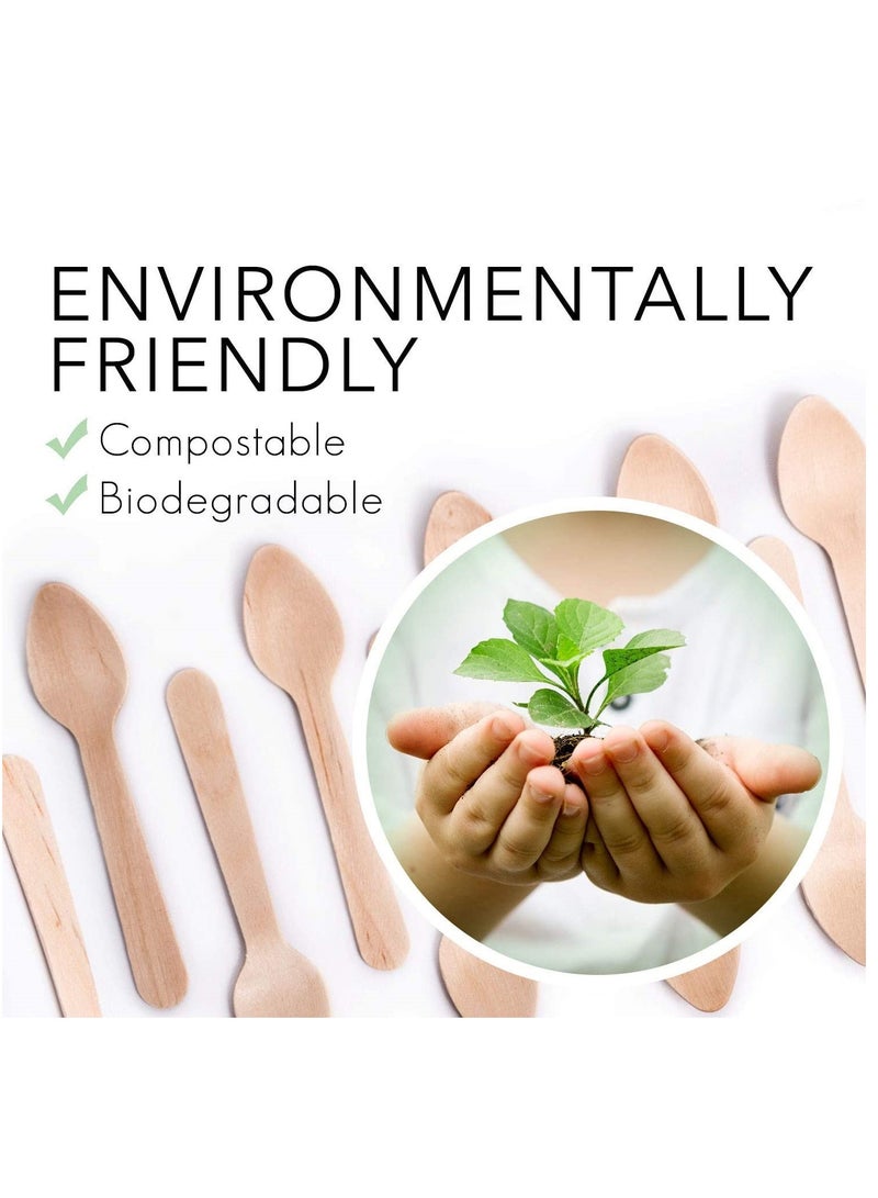 500 قطعة ملاعق خشبية صغيرة للاستعمال مرة واحدة 3.5 بوصة – قابلة للتحلل الحيوي للآيس كريم والحلويات - Image 4