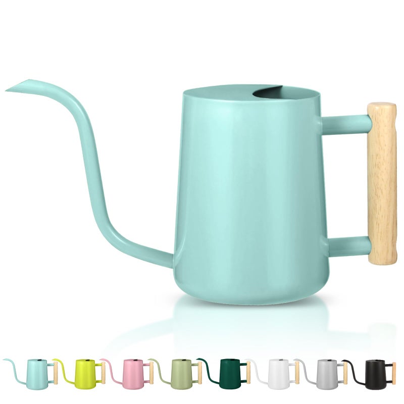 Watering Can Indoor Plants 35oz Small Watering Can Indoor Stainless Steel Metal Watering Can Modern Decorative Watering Pot with Long Spout for Indoor House Plant Bonsai Outdoor Garden Flowers Green