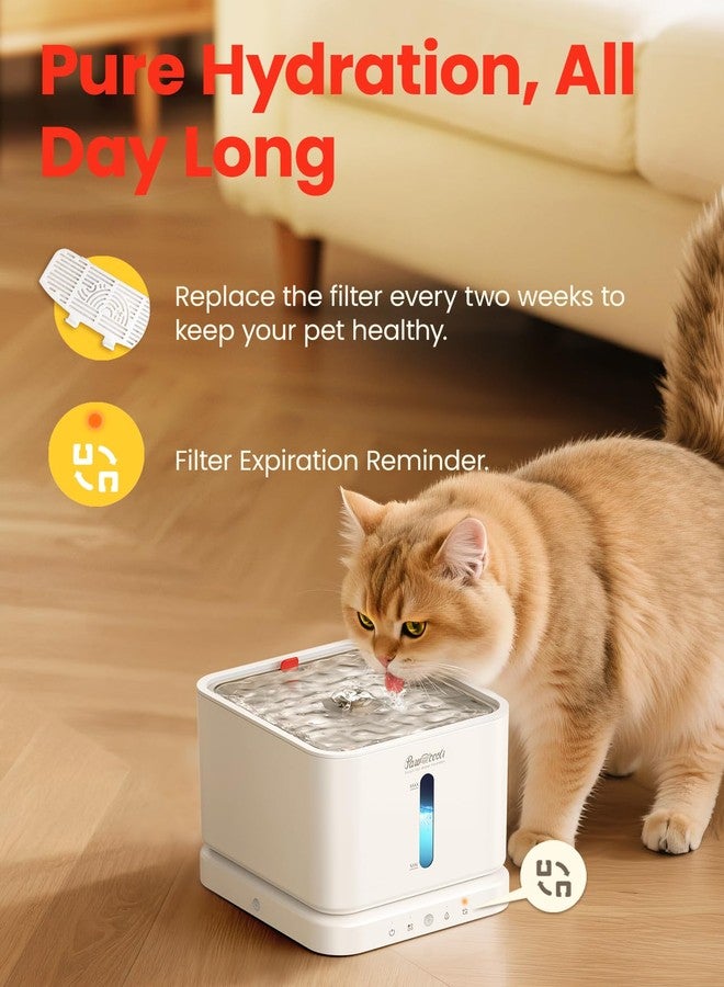 Pawccoli 6 Pcs Cat Water Fountain Filters, Pet Fountain Replacement Filters for 3L/100oz Automatic Pet Fountain - Image 2