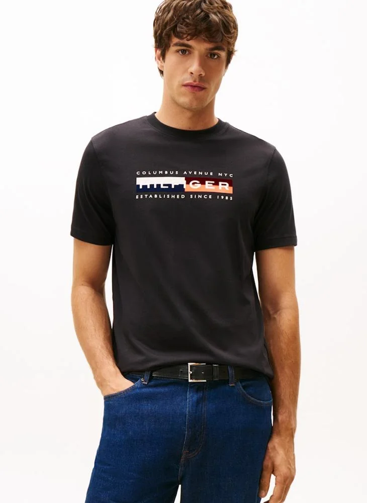 TOMMY HILFIGER Graphic Crew Neck T-Shirt