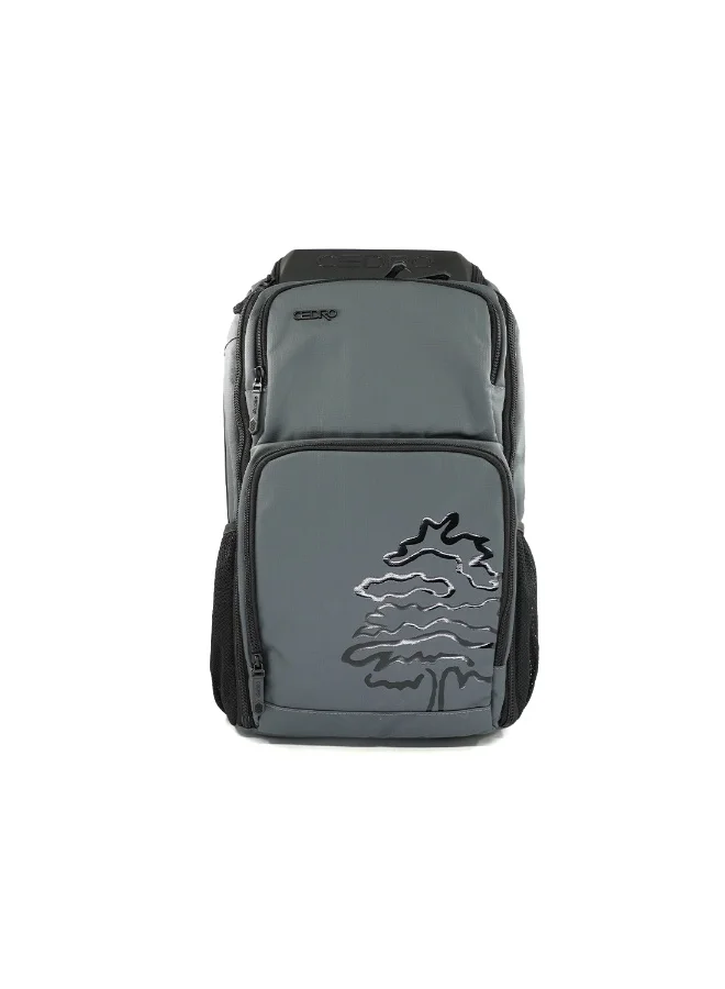 Cedro Cedro Multiâ€‘Function Laptop Backpack â€“ Grey | Lightweight 600D Polyester, Daily & School Use