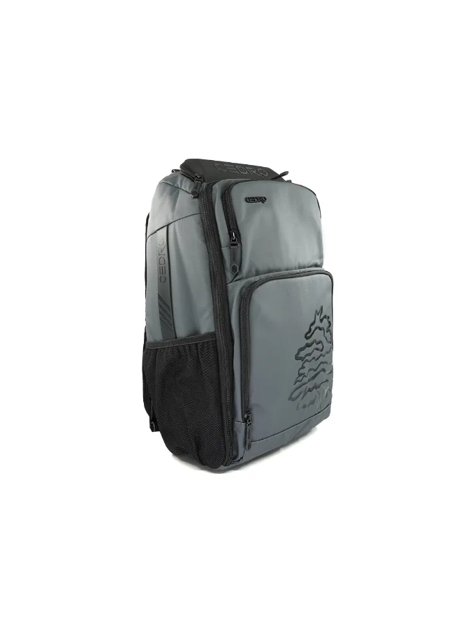 Cedro Cedro Multiâ€‘Function Laptop Backpack â€“ Grey | Lightweight 600D Polyester, Daily & School Use
