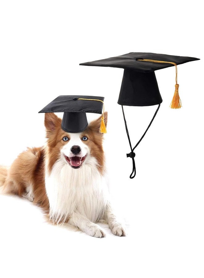 AUOCATTAIL Dog Graduation Cap and Bandana 2024 | Puppy Graduation Cap and Gown 2024 | Black Triangle Bibs Scarf Party Costumes Pet Cosplay Glasses Set Accessory Black - Image 4