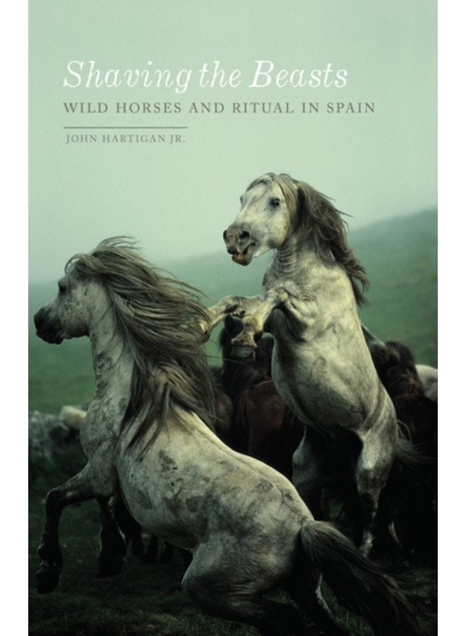 Shaving the Beasts Wild Horses and Ritual in Spain - Paperback