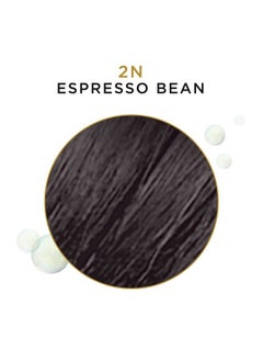 CLAIROL PROFESSIONAL Beautiful Advanced Gray Solutions 2N Espresso Bean 3 Oz  - Image 4