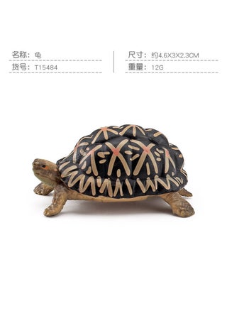 T15484 turtle 12g